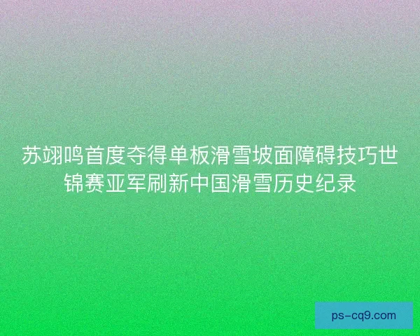 苏翊鸣首度夺得单板滑雪坡面障碍技巧世锦赛亚军刷新中国滑雪历史纪录