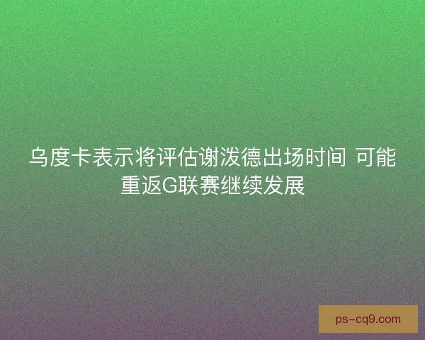 乌度卡表示将评估谢泼德出场时间 可能重返G联赛继续发展