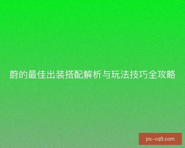 蔚的最佳出装搭配解析与玩法技巧全攻略
